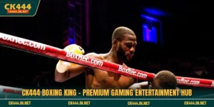CK444 Boxing King - Premium Gaming Entertainment Hub