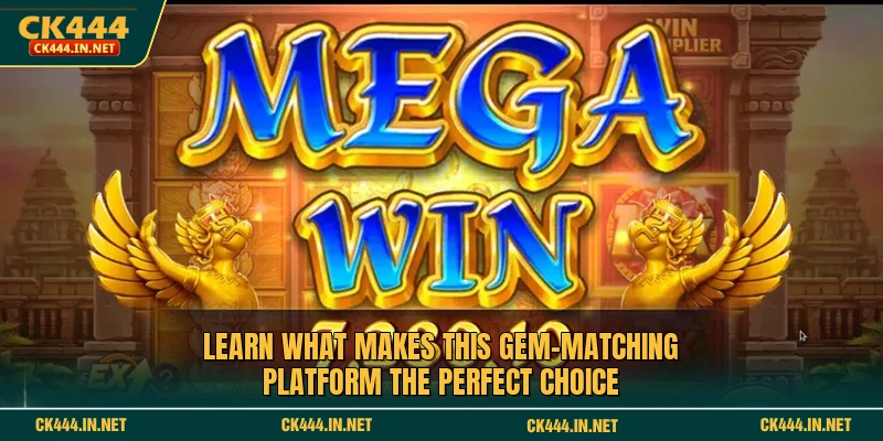 Learn what makes this gem-matching platform the perfect choice