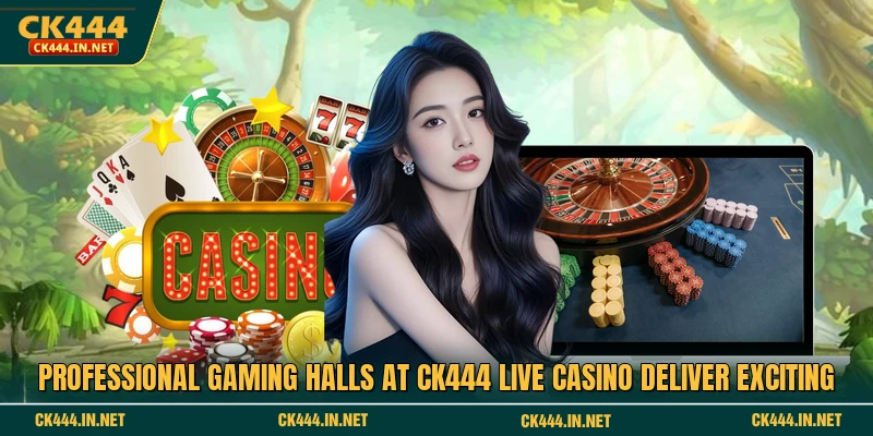 Professional gaming halls at CK444 Live casino deliver exciting